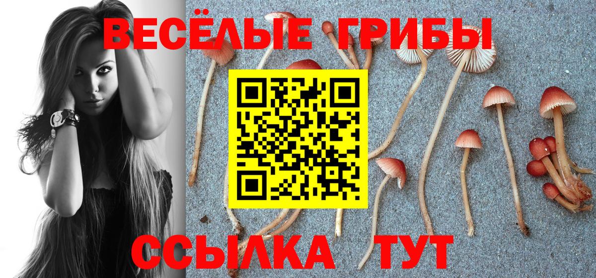 Псилоцибиновые грибы Magic Shrooms  Вход с VPN  Псилоцибиновые грибы мицелий  купить наркотики сайты  Острогожск 